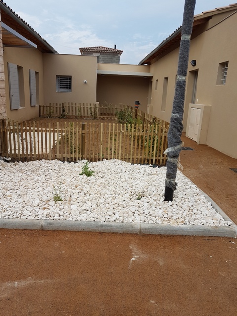 CHANTIER FINI LES CLEMATITES 2