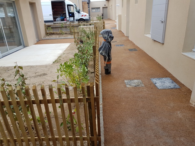 CHANTIER FINI LES CLEMATITES 5