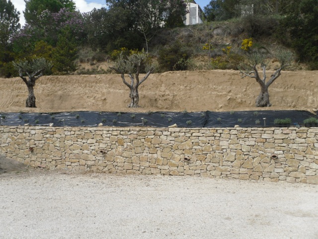 PEZOTTA (7)