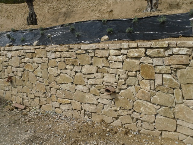 PEZOTTA (9)