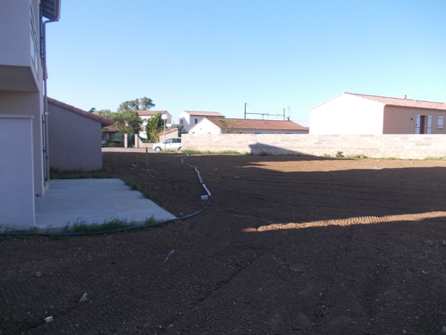 PHOTO 020 (2)